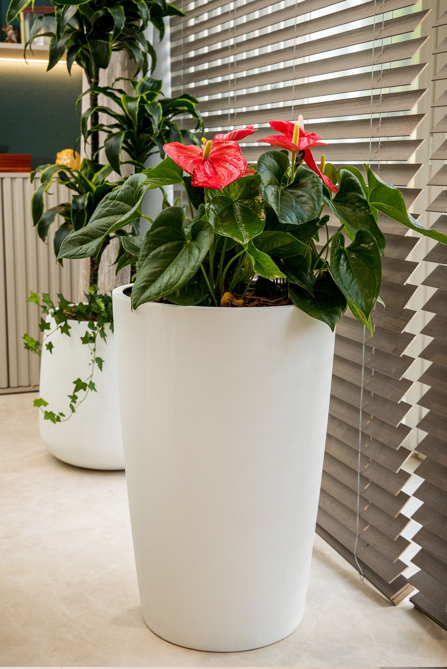 crater 60x90 santorini 2022