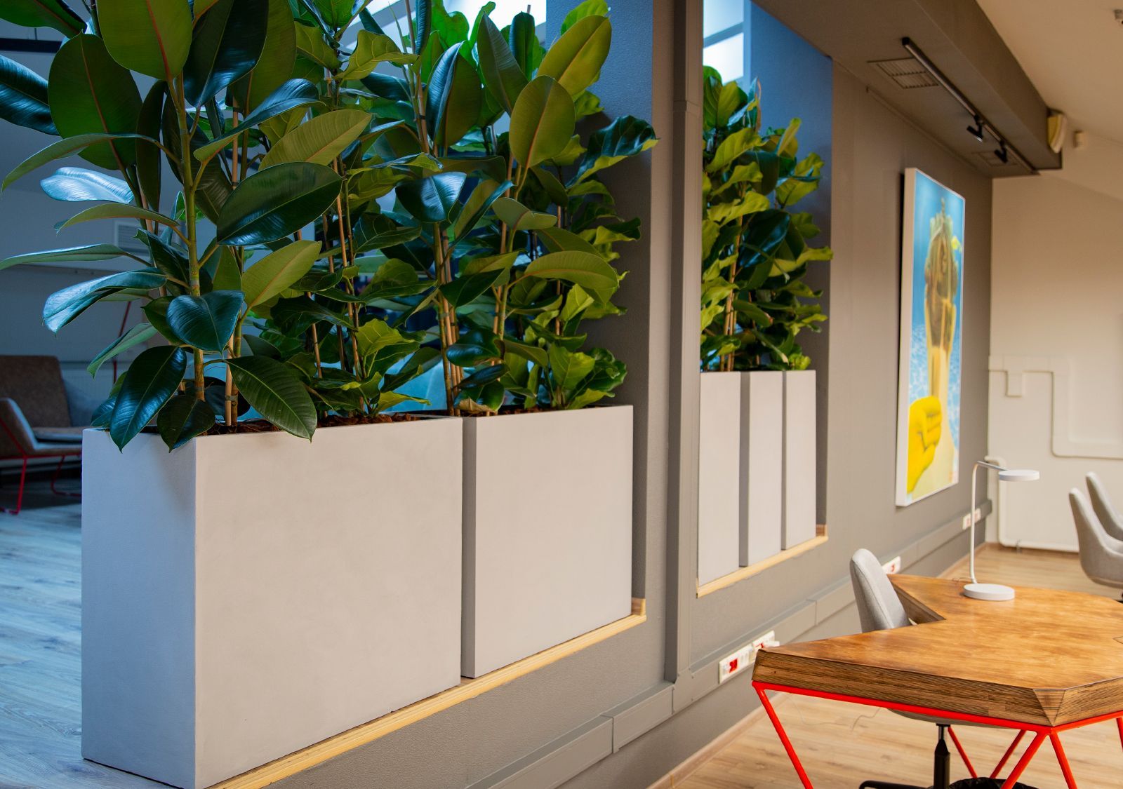 colonna 40x40x80 shale 2020