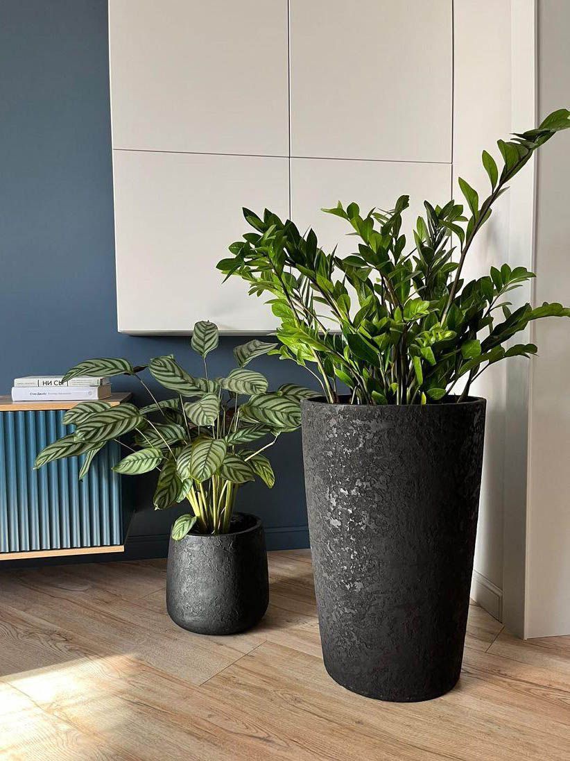 crater 60x90 slanets 2023