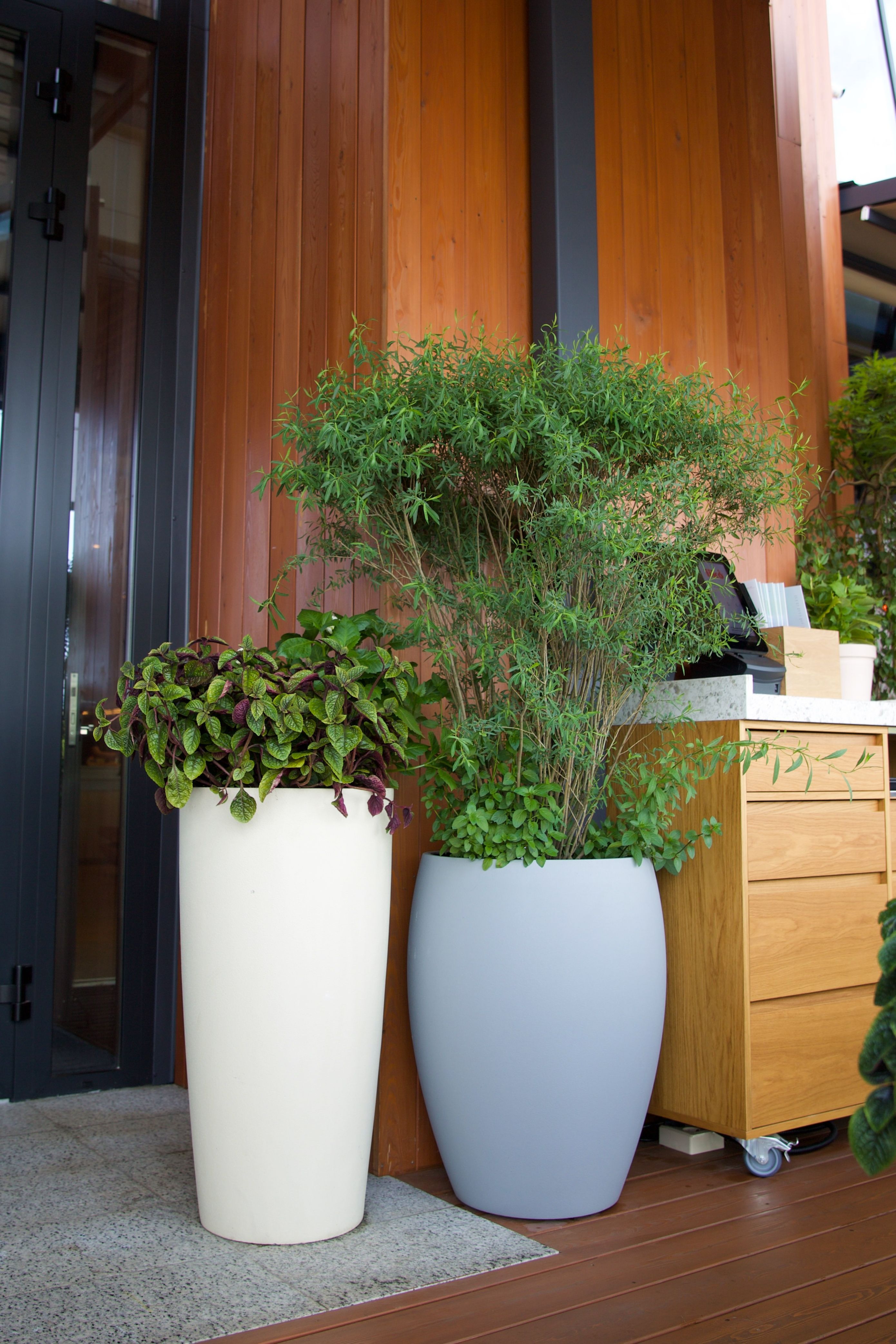 oval 30x41 shale 2025