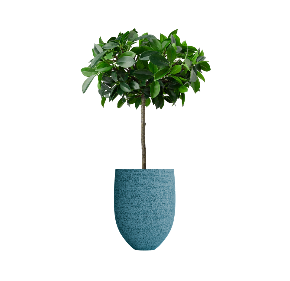 Кашпо CONCRETIKA БАРРЕЛЬ ЭРОЗИЯ ГОЛУБОЙ D41H60 заказать и купить с доставкой из магазина производителя Конкретика по цене 23&nbsp;848 ₽.