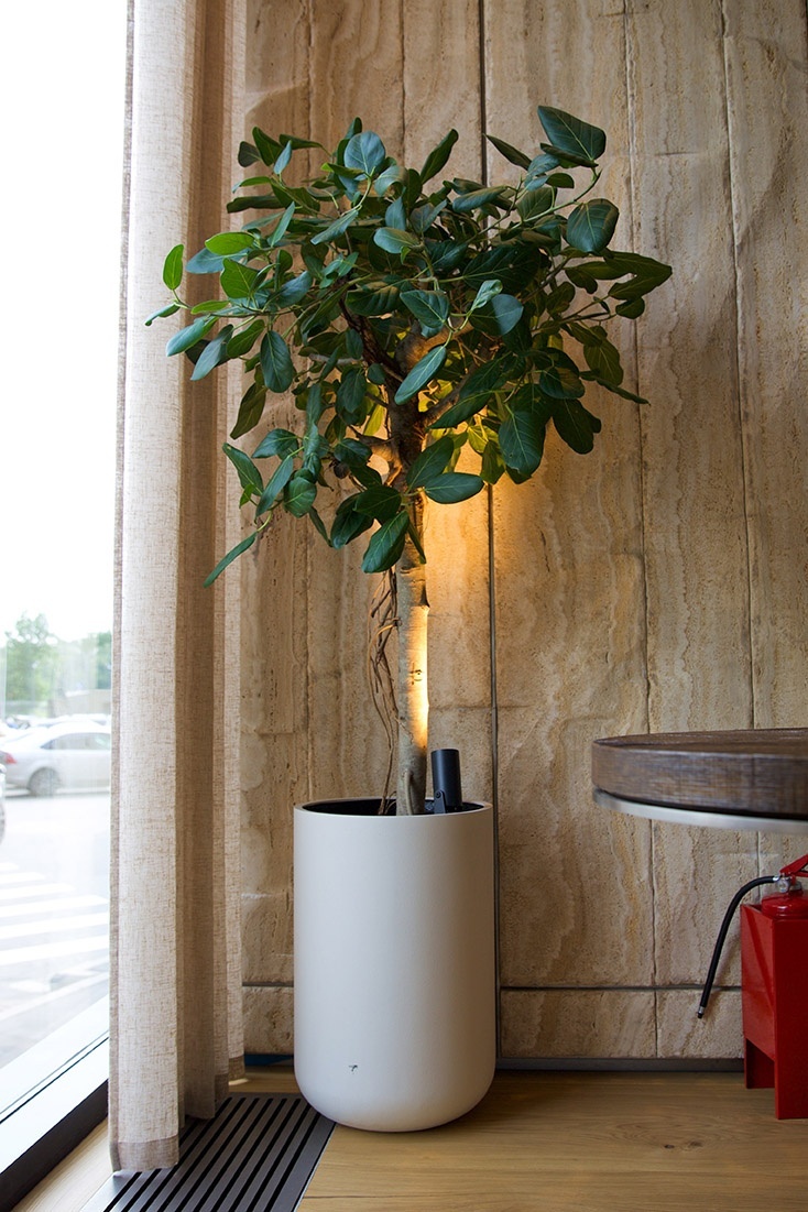 ТОППЕР Сахара