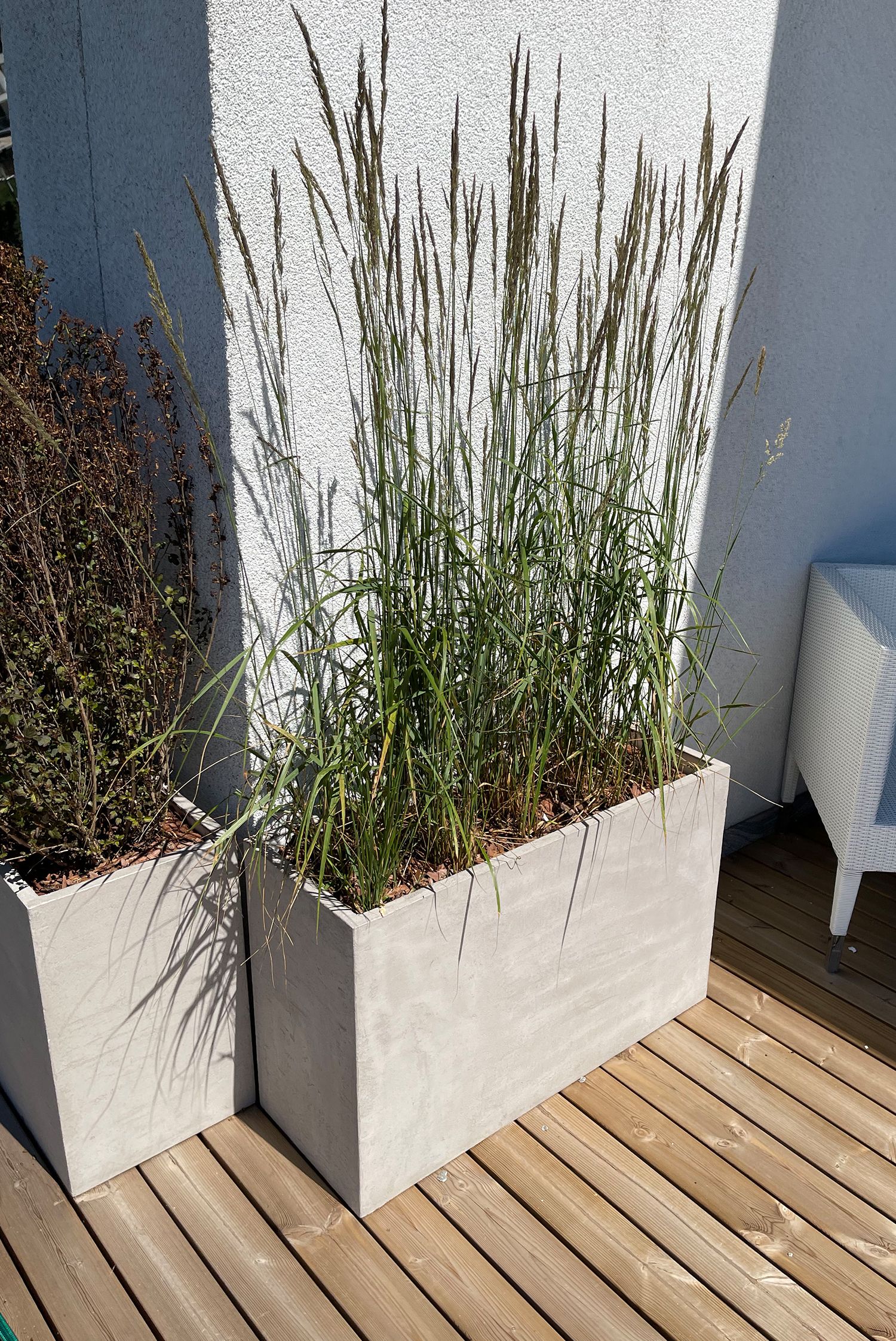 divider 100x40x50 concrete white 2021