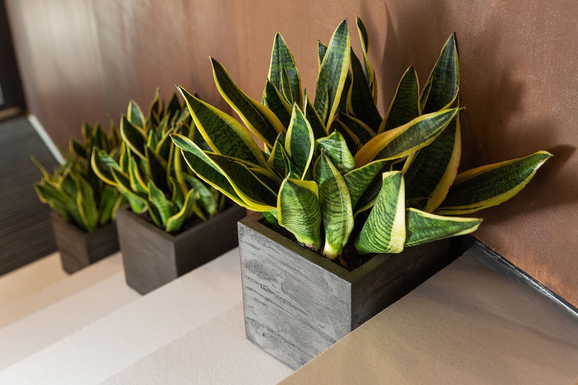 cube 30x30x30 brezent grey 2021