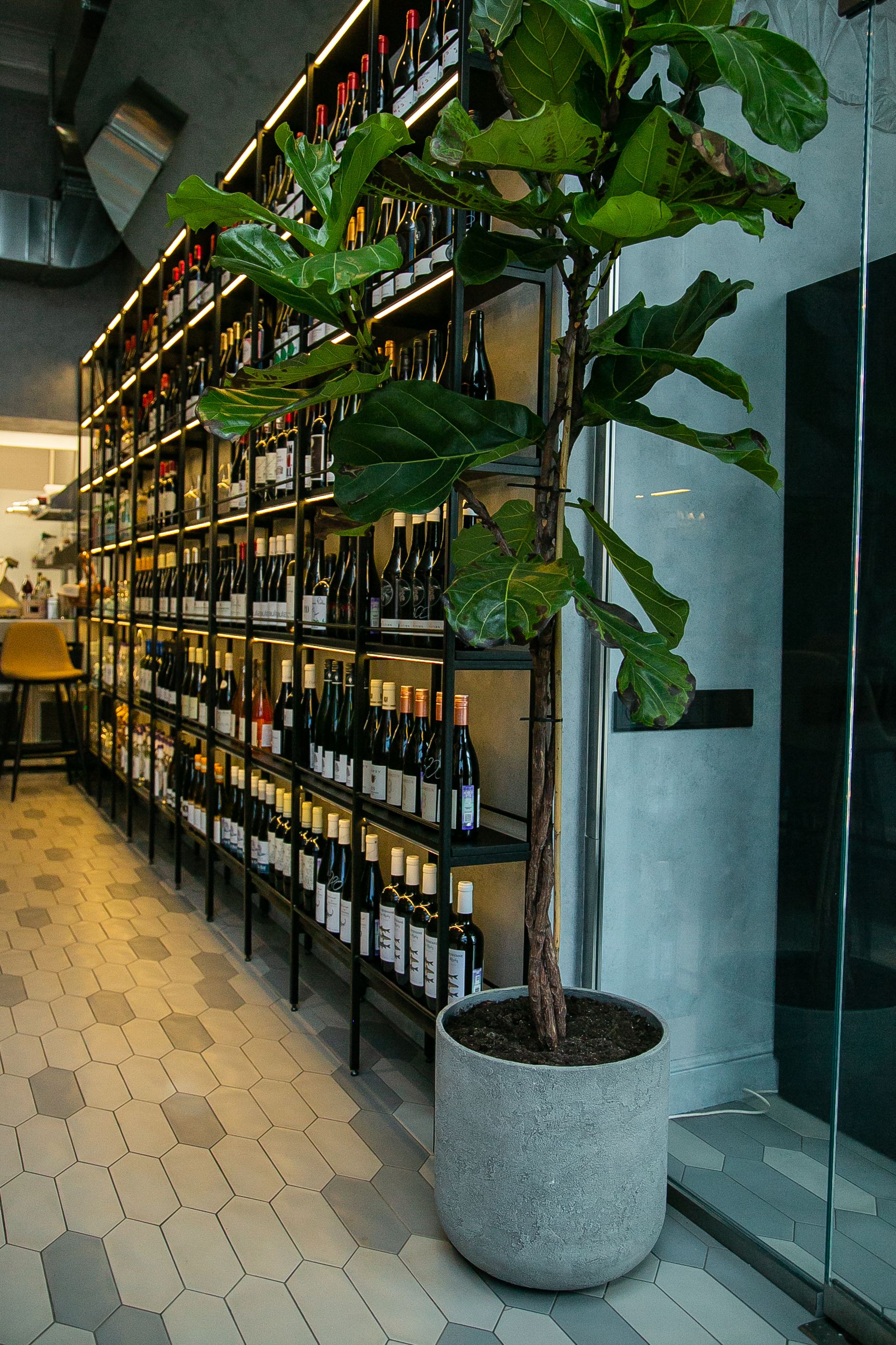 topper 40x40 concrete m100 2019