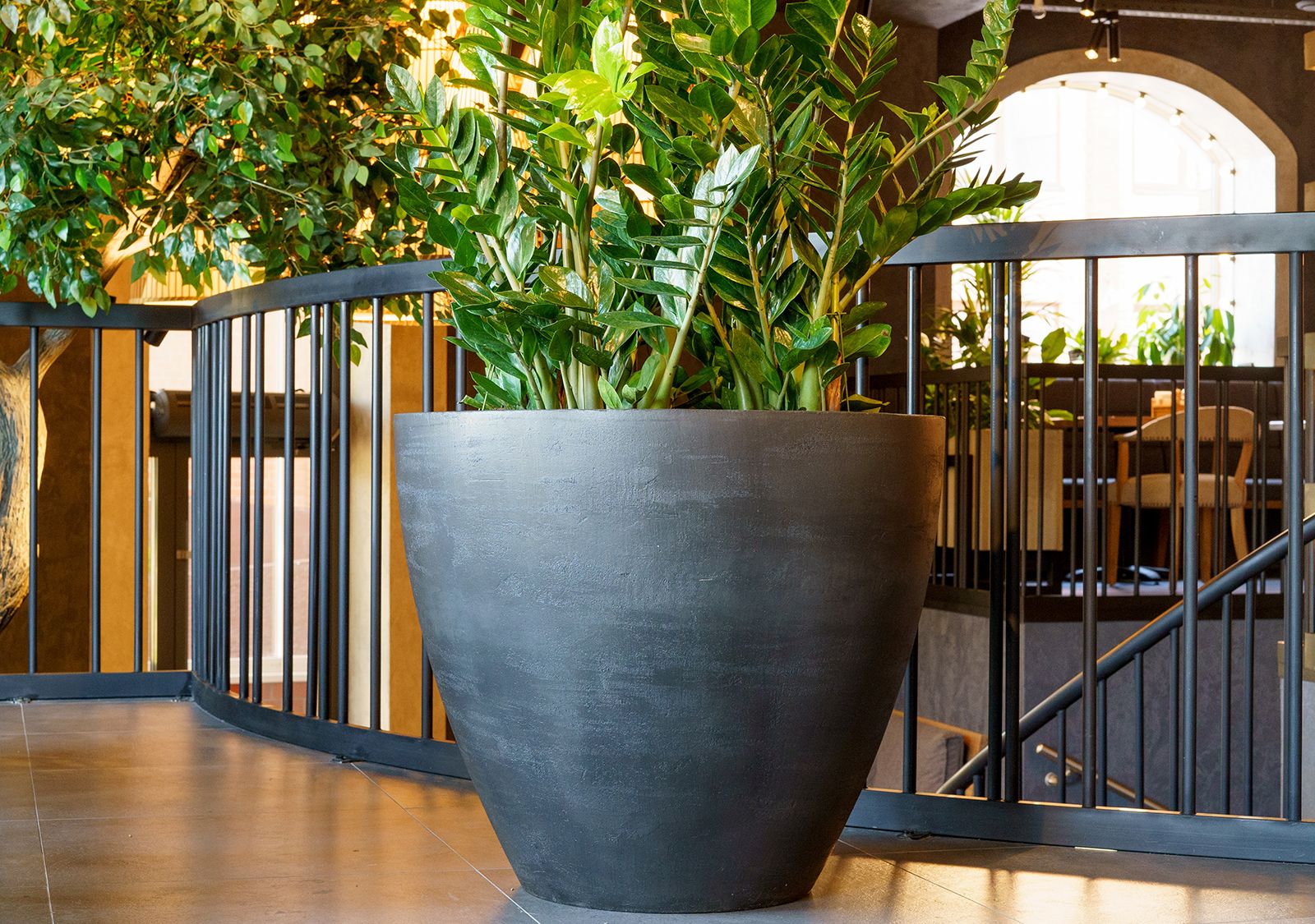 upon 75x65 anthracite 2021