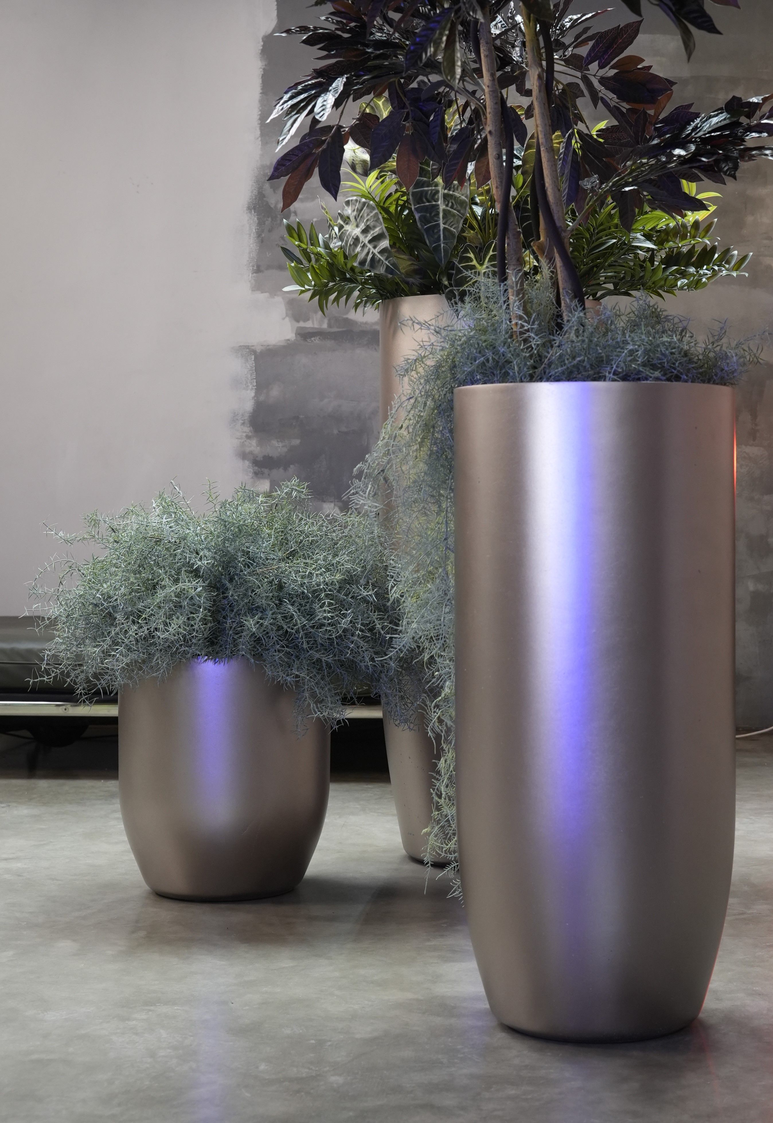 yar 46x110 champagne 2025