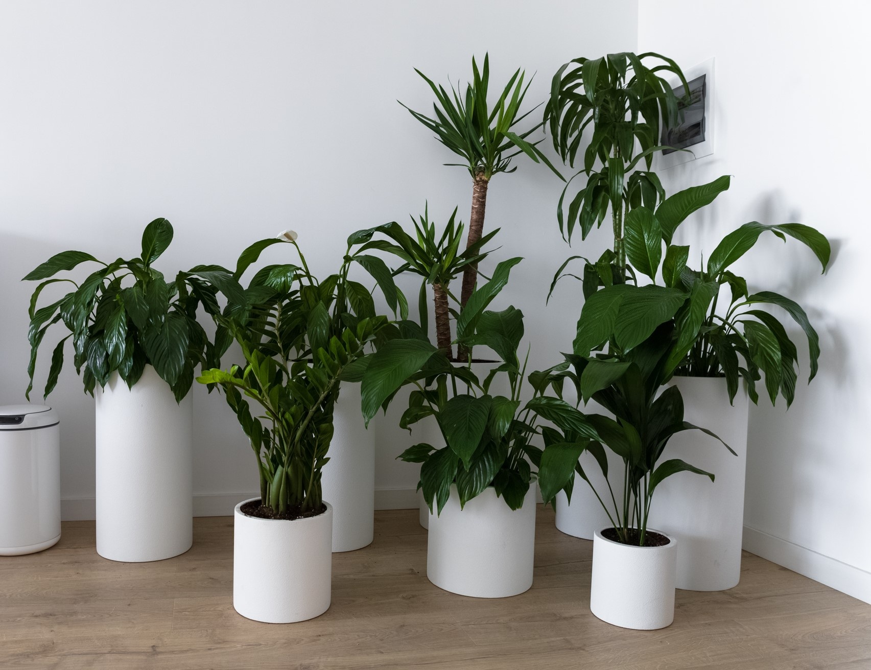 ЦИЛИНДР Санторини