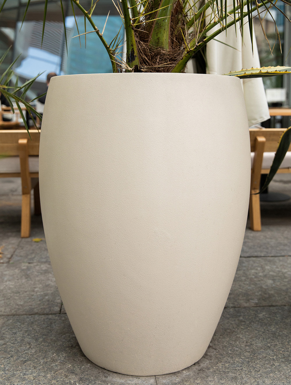 ОВАЛ Сахара