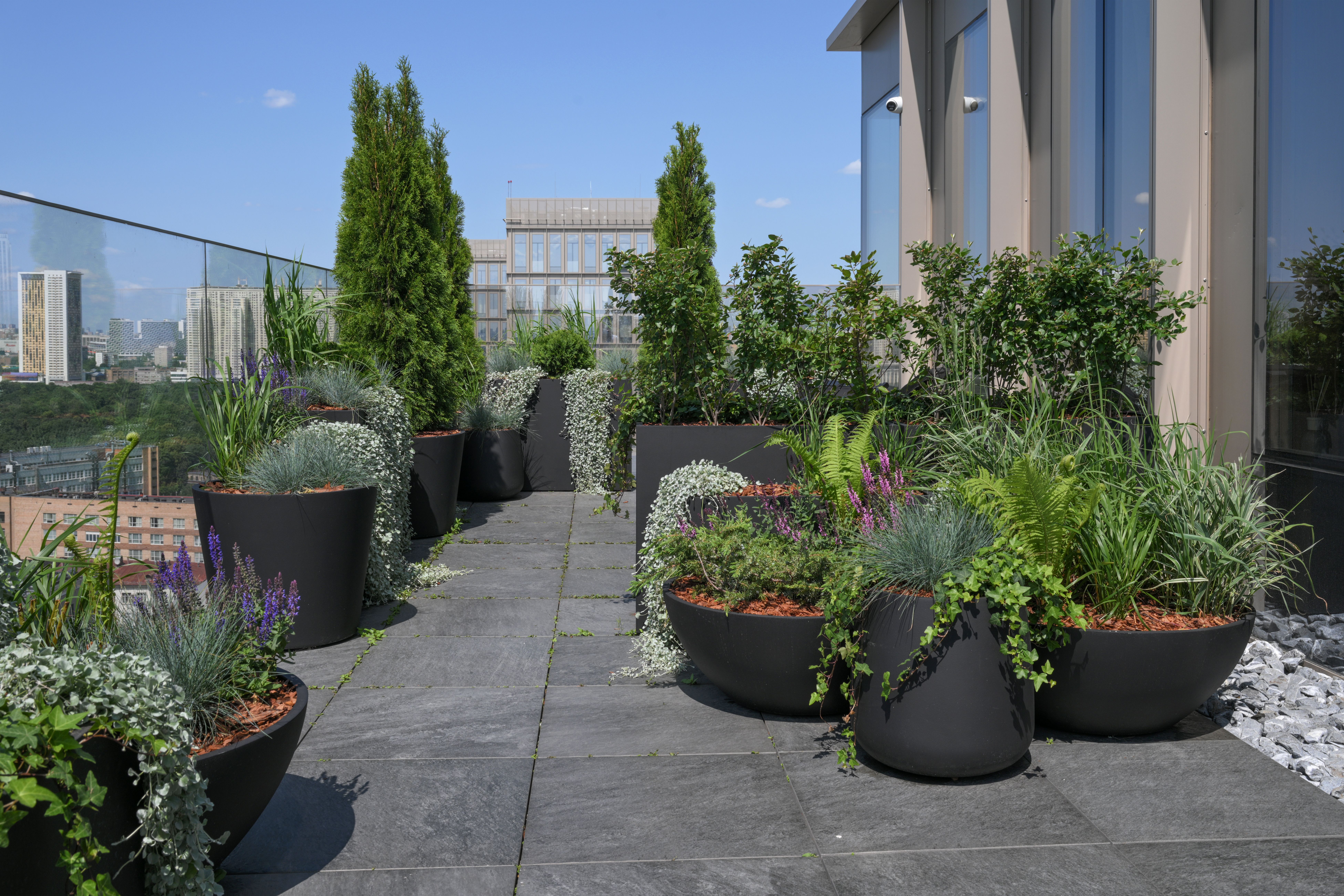 cone 50x54 nero 2025