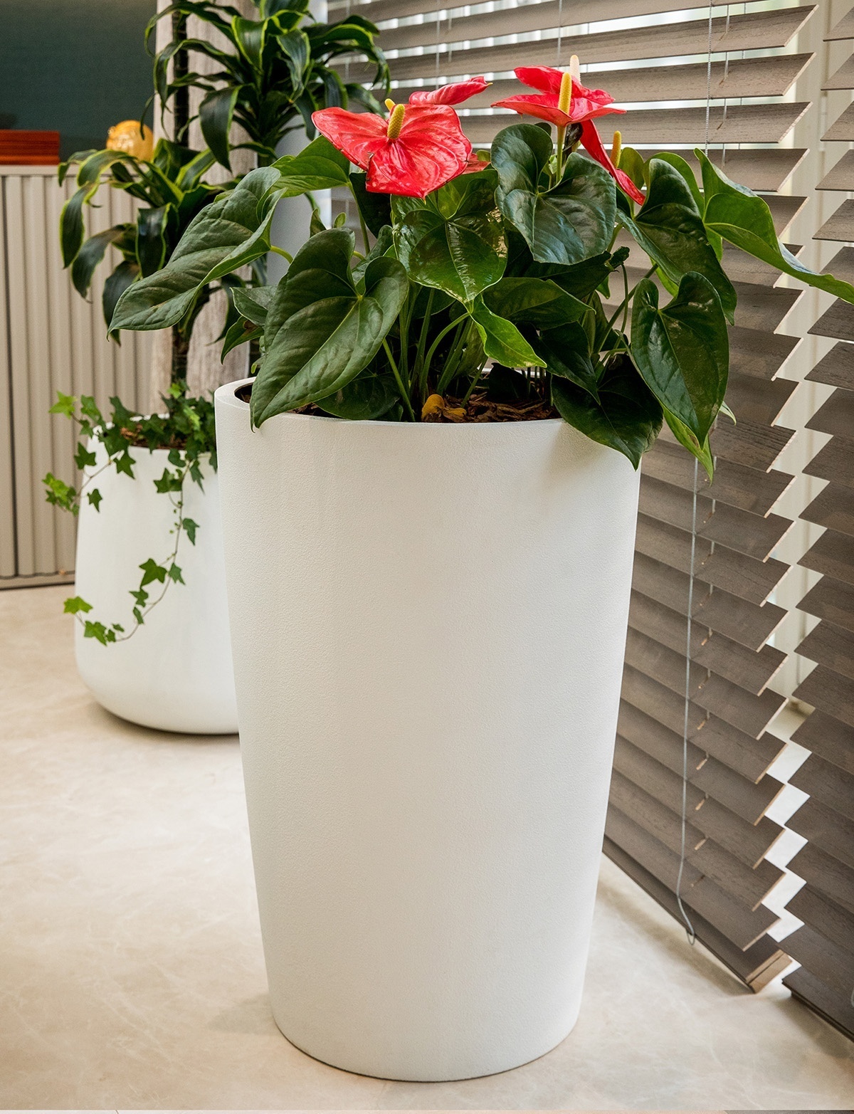 КОНЕ Санторини