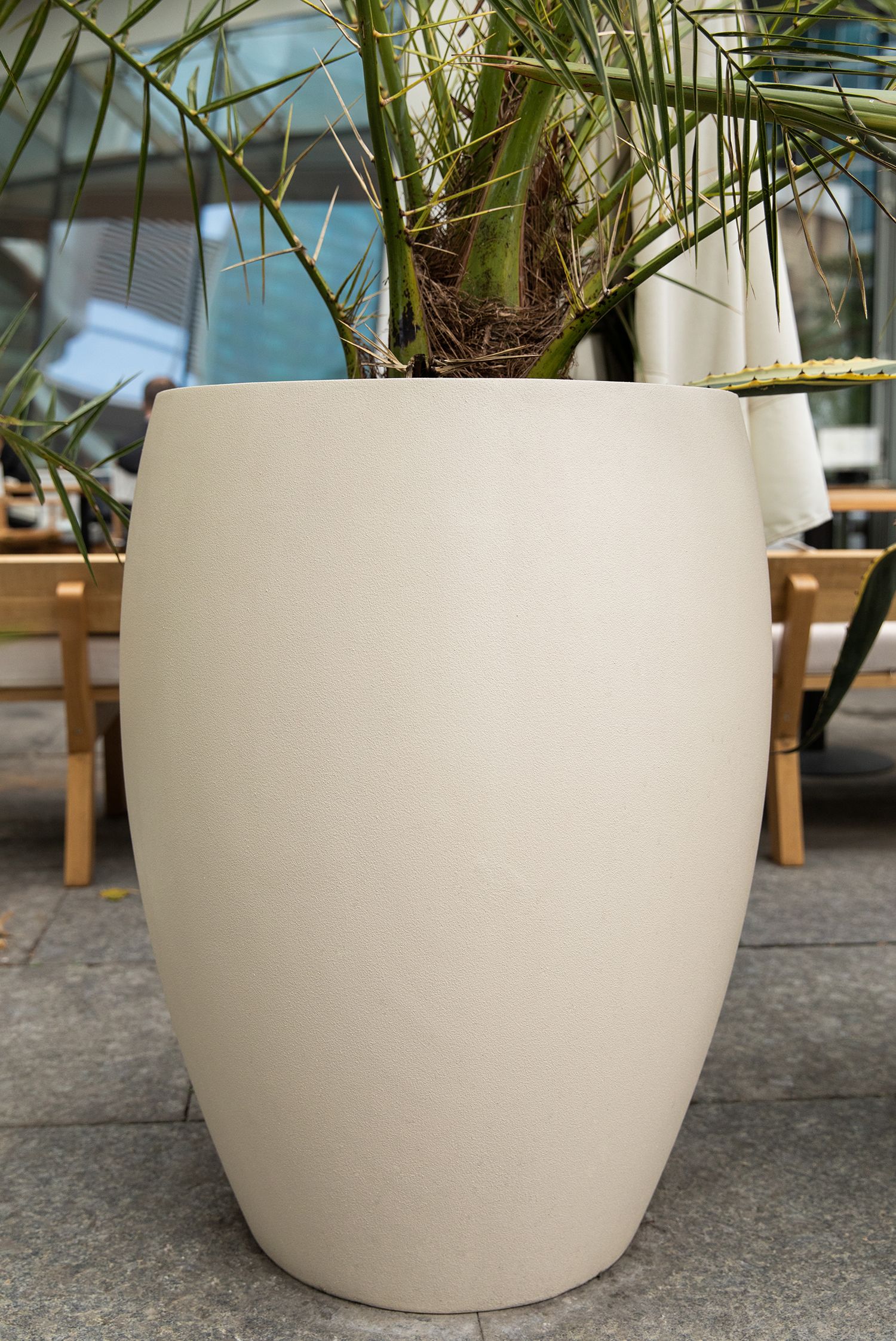 oval 60x88 sahara 2021