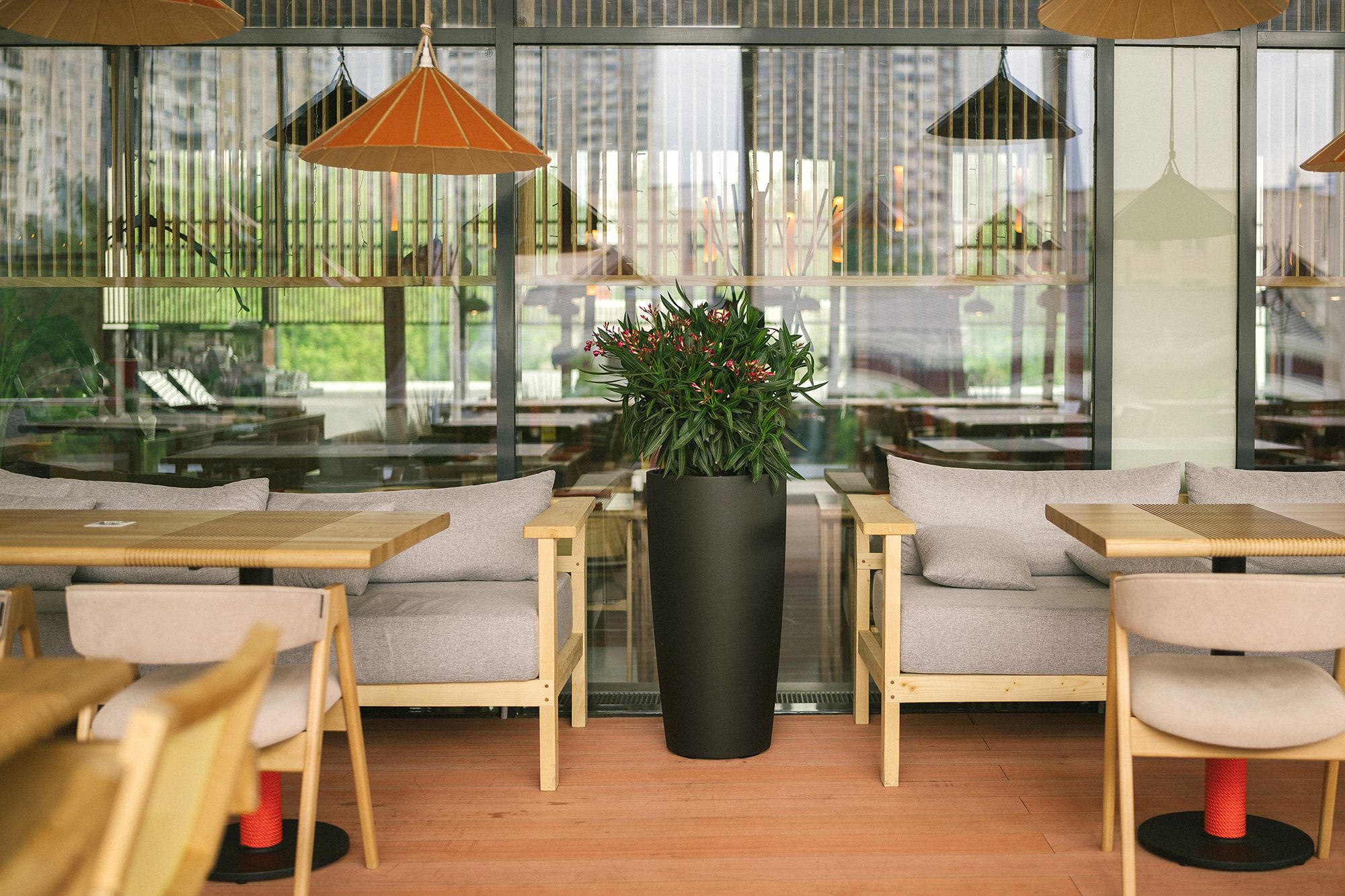 conus 40x80 olive 2023