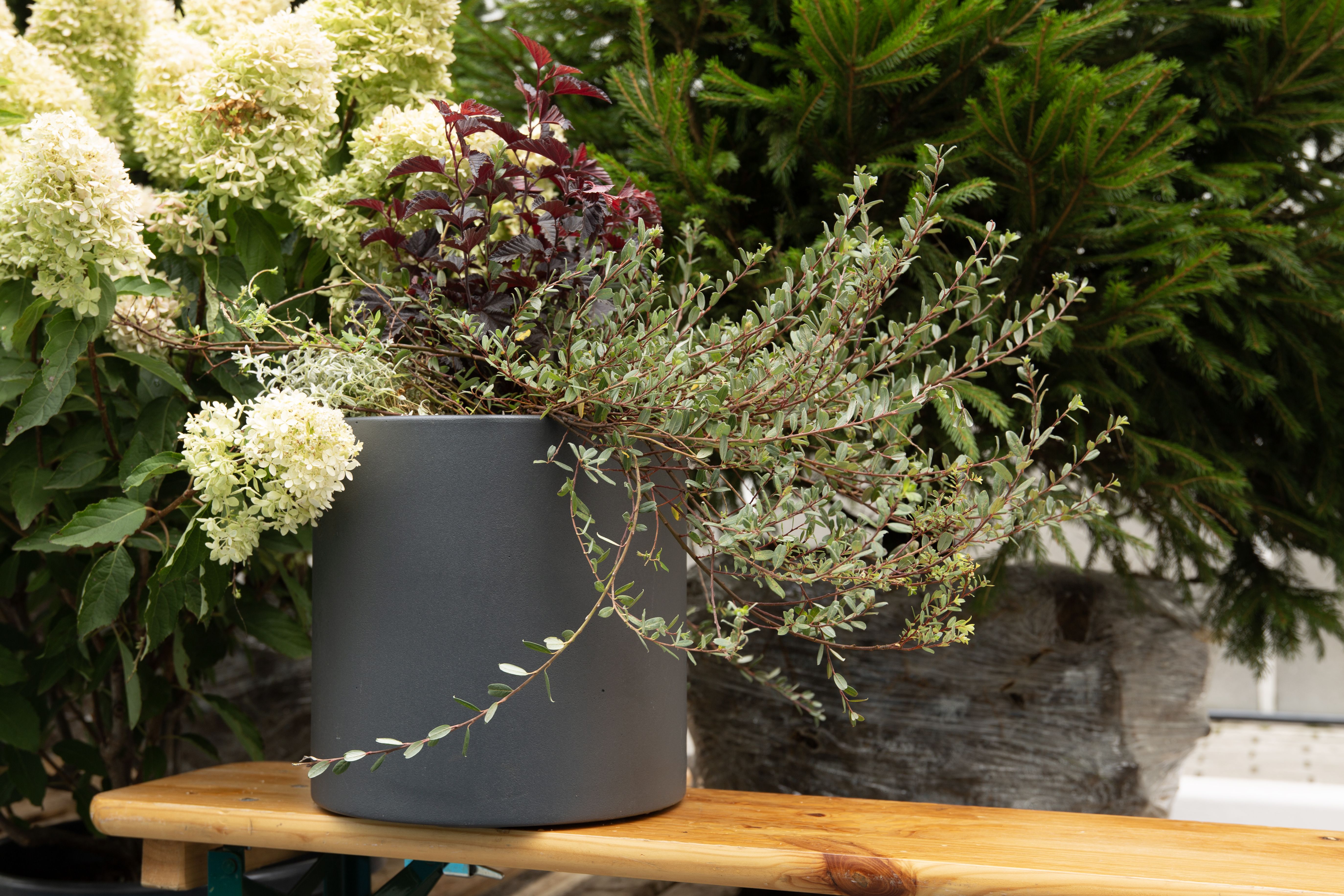 tube s 30x30 marengo 2025