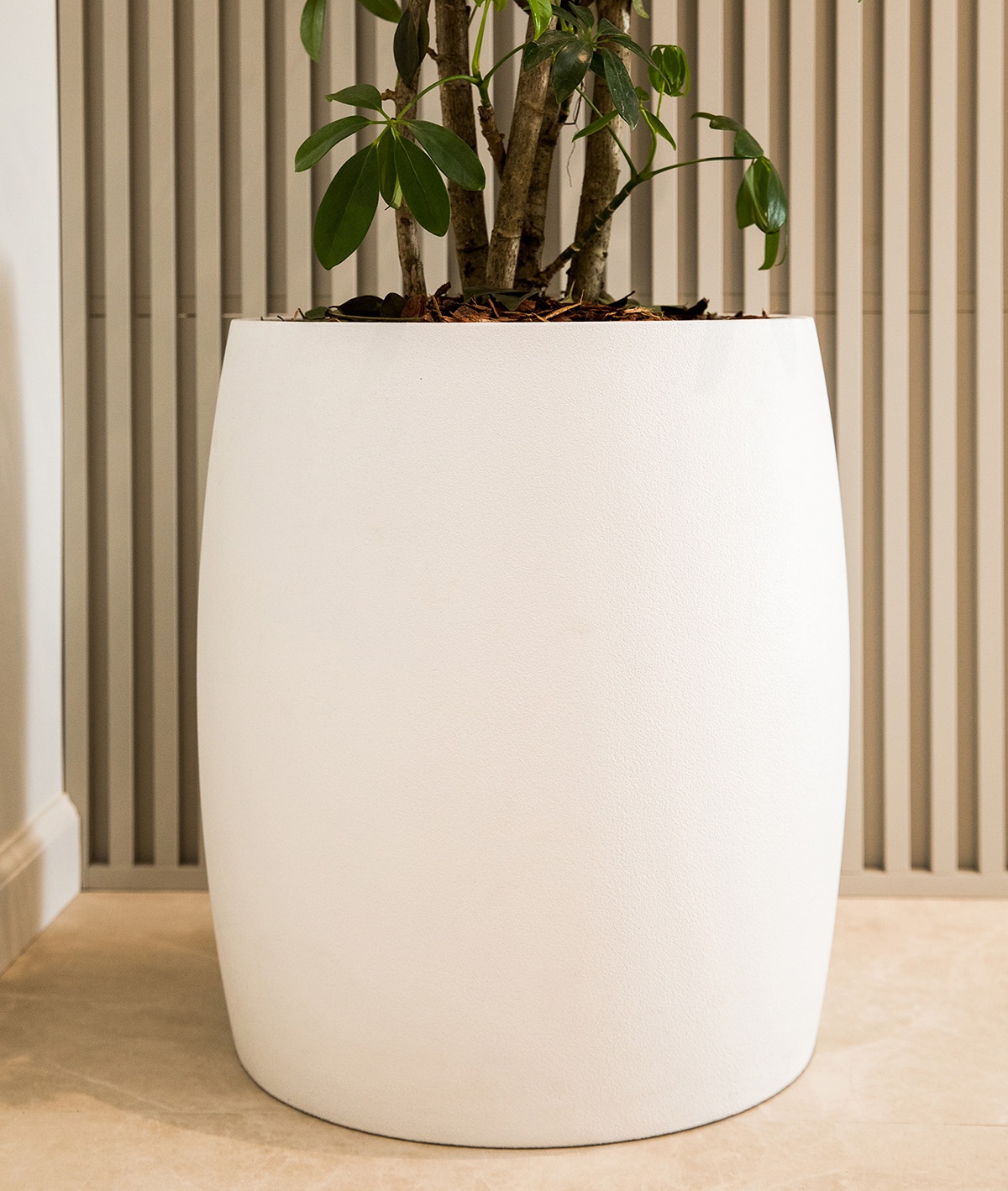 СИГАР Санторини