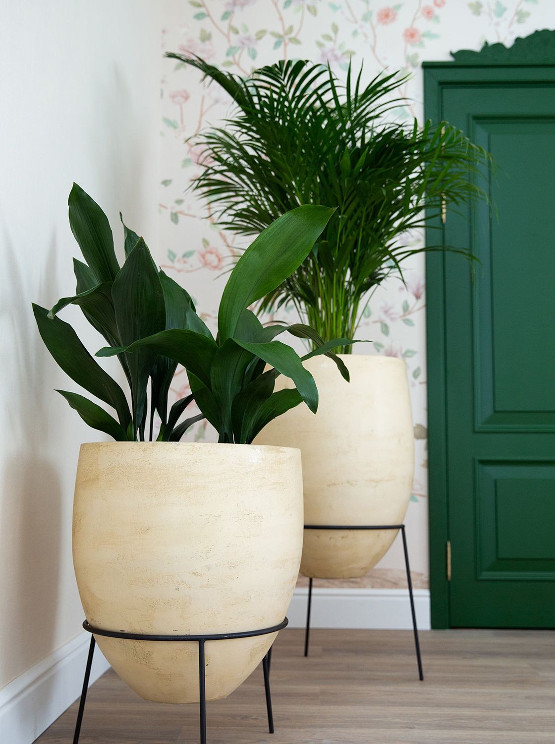 barrel 41x60 lemon 2020