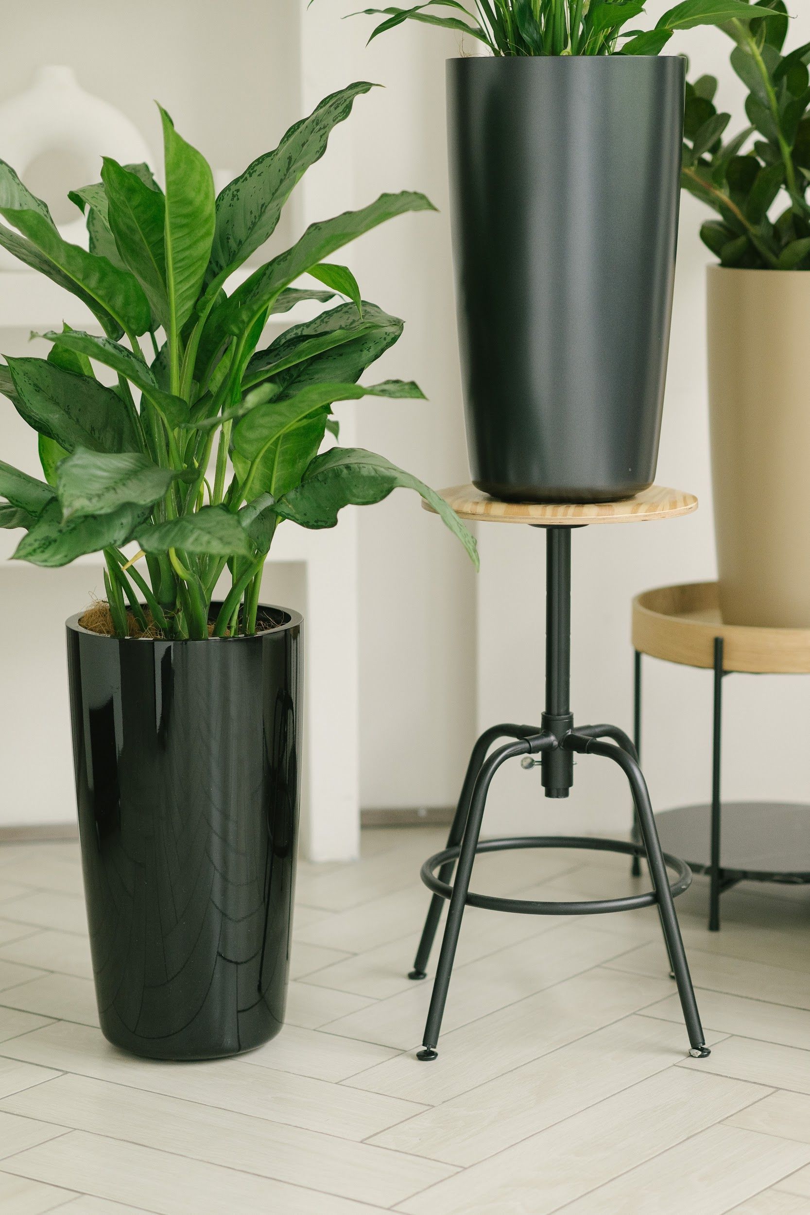 conus 30x55 super black 2023