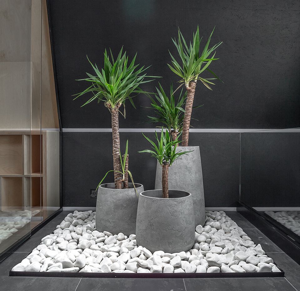 cone 36x75 concrete m100 2020