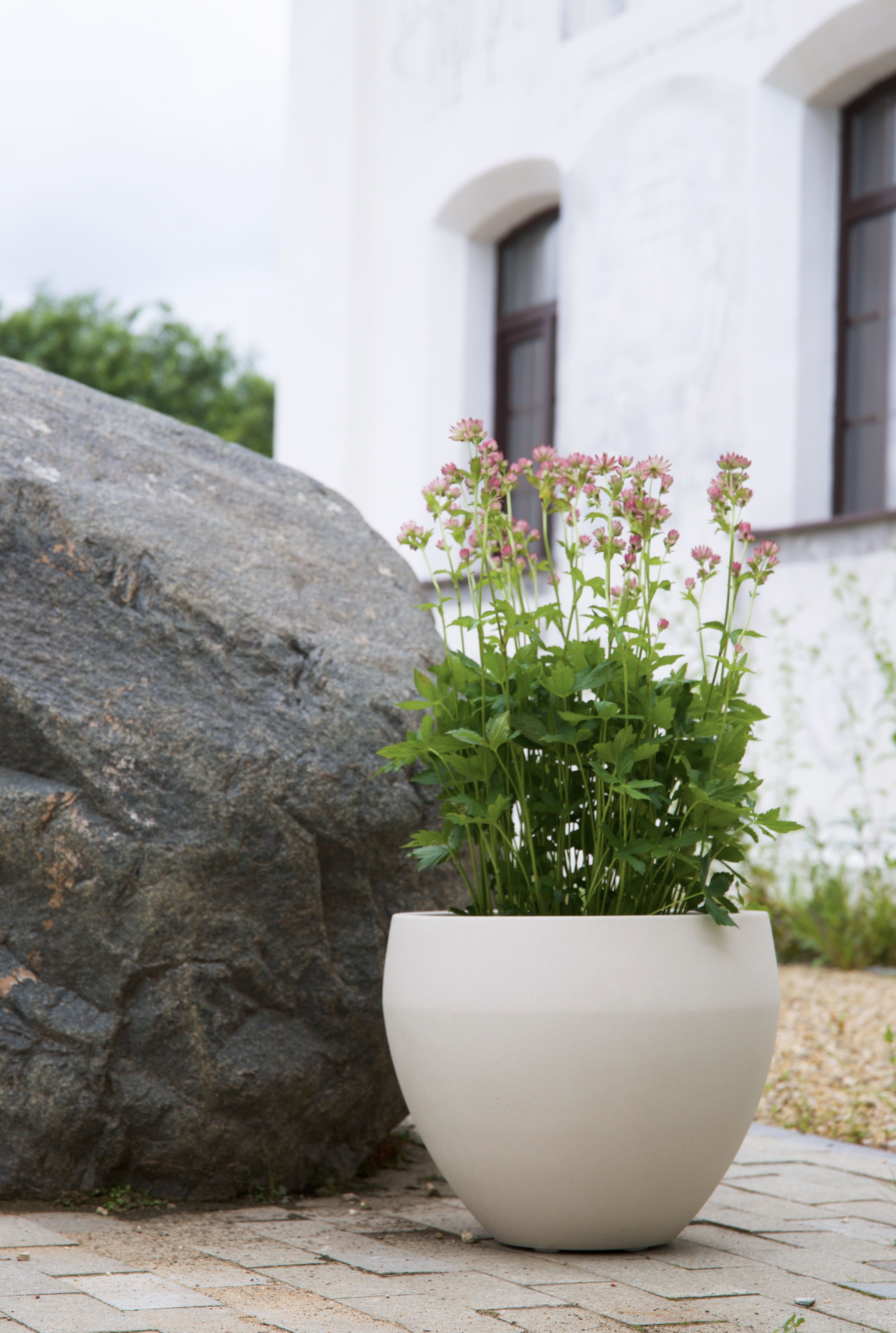 giro 50x43 dune 2025