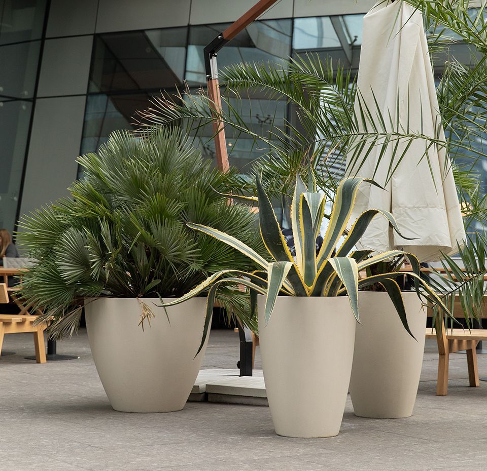 upon 85x75 sahara 2021