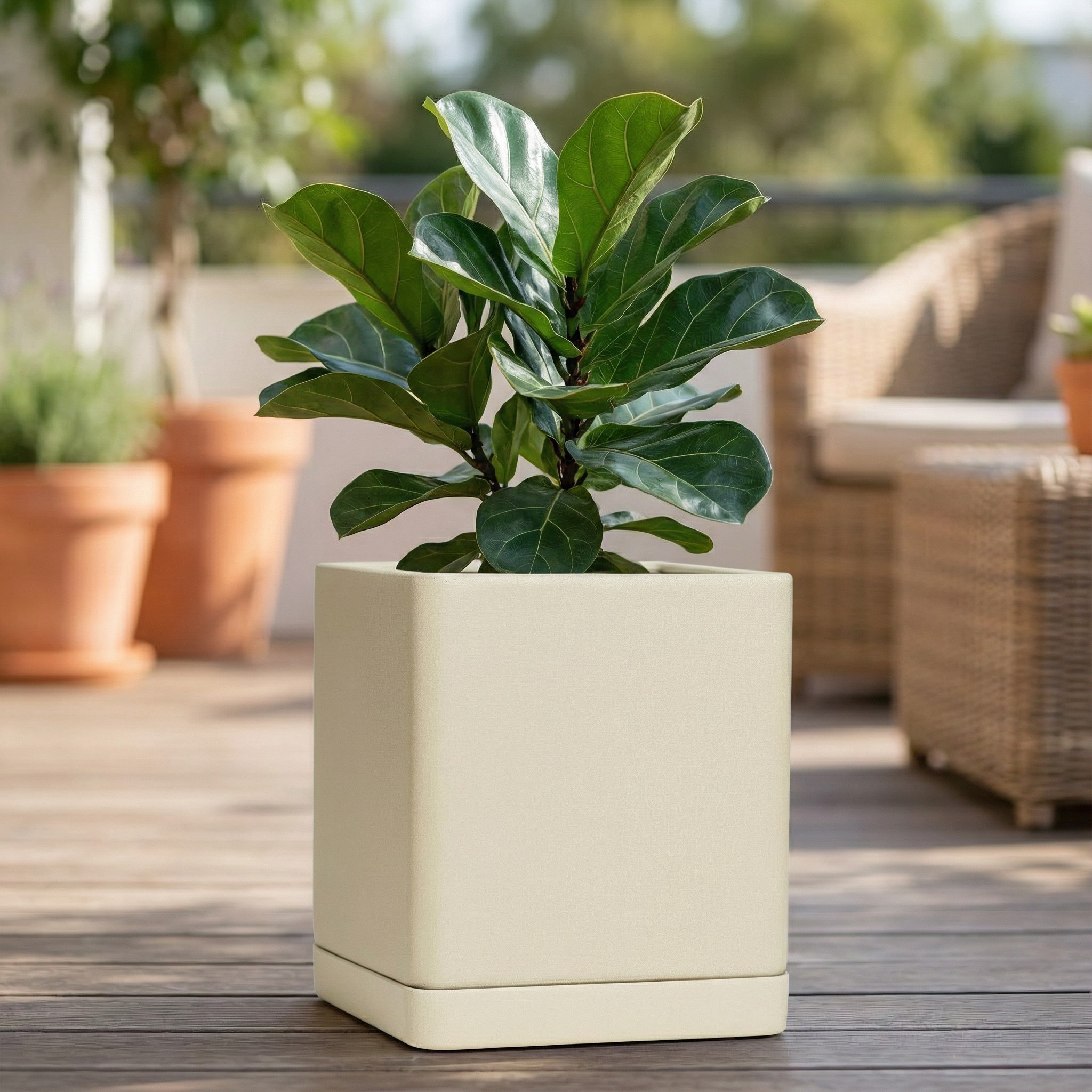 ПОДДОН квадро Дюна