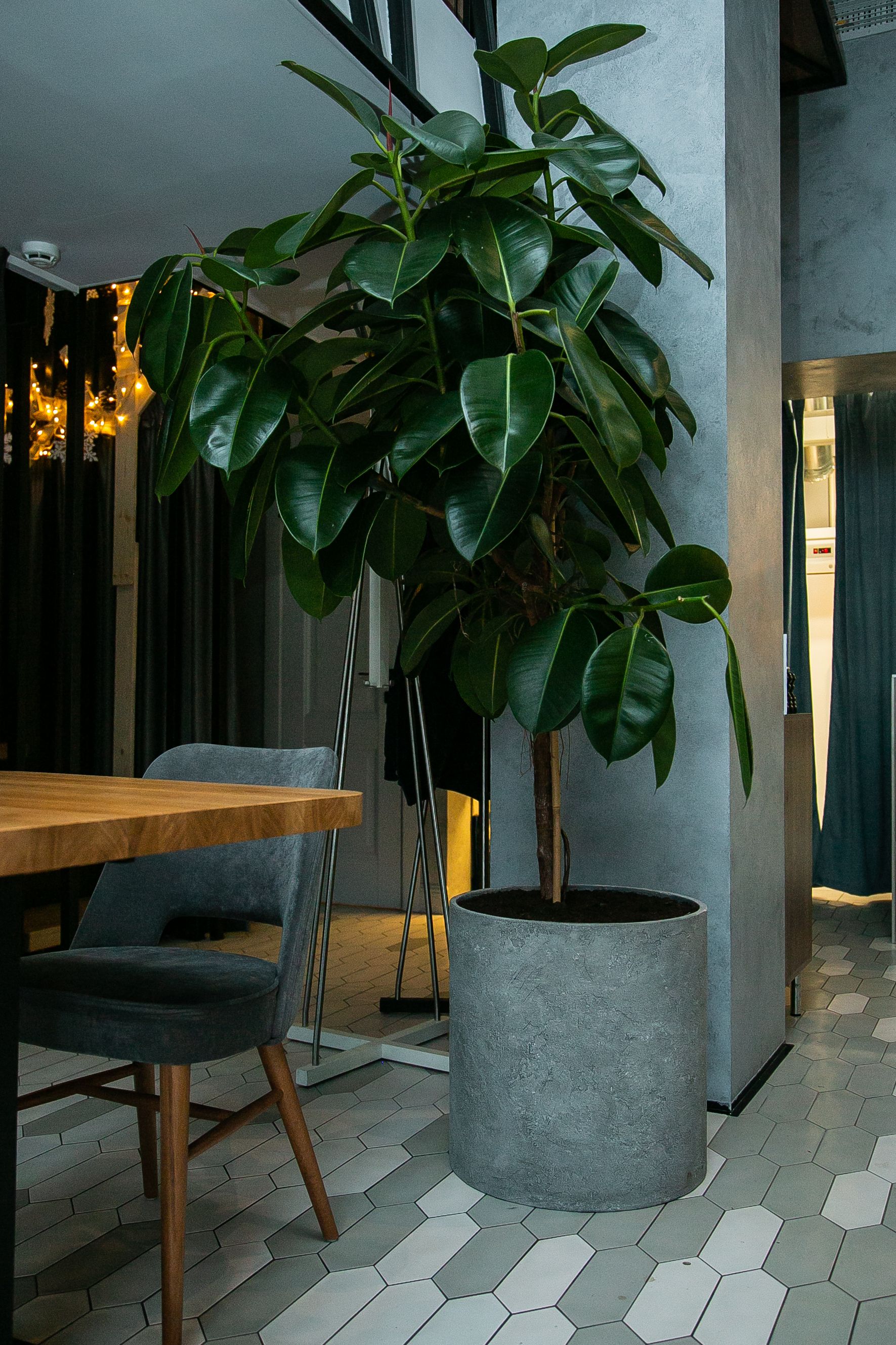 cylinder 40x40 concrete m100 2019