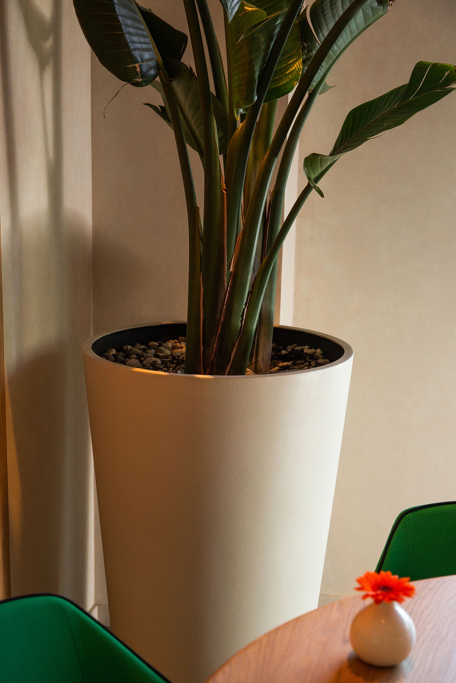 crater 60x90 sahara 2021