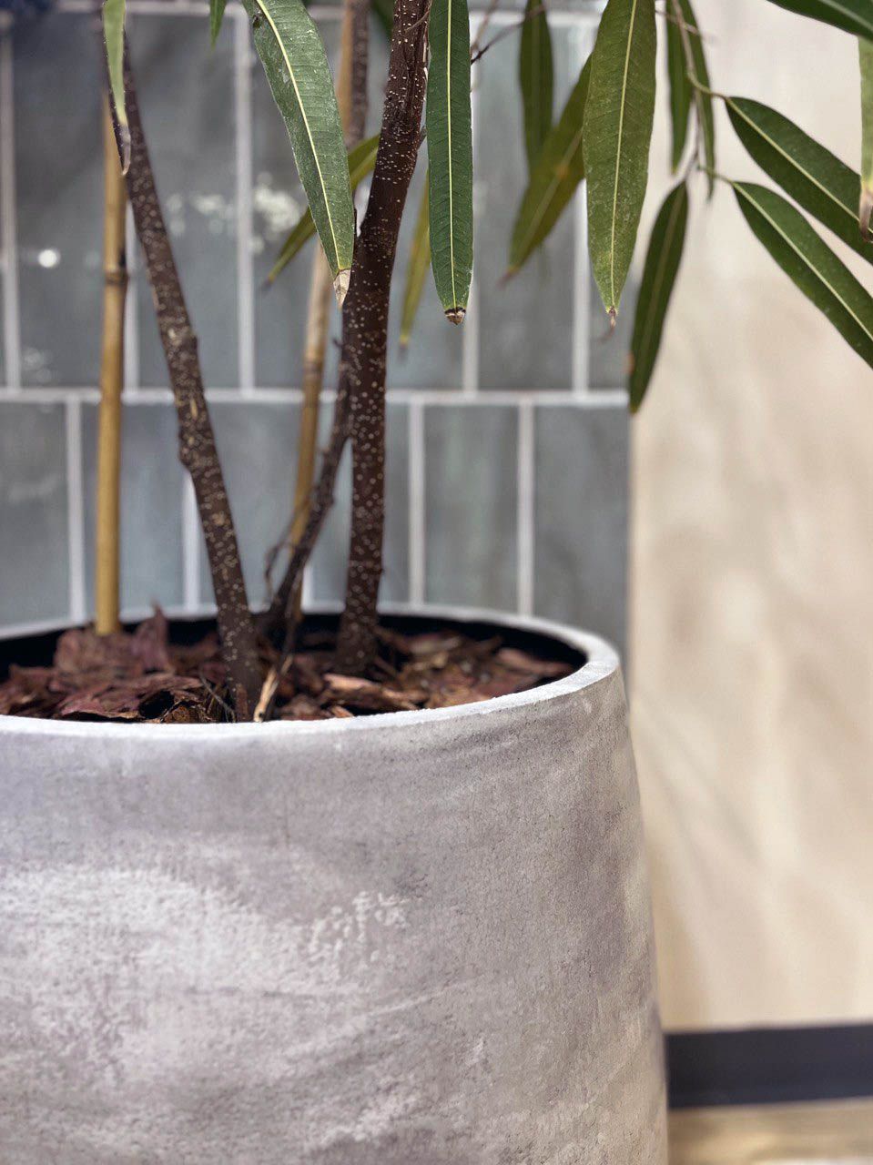 cone 36x75 concrete light grey 2022