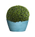 Кашпо CONCRETIKA BOWL BLUE SKY D65H36 заказать и купить с доставкой из магазина производителя Конкретика по цене 18 800 руб.