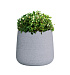 Кашпо CONCRETIKA CONE EROSIA WHITE D32H36 заказать и купить с доставкой из магазина производителя Конкретика по цене 11 730 руб.