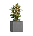 Кашпо CONCRETIKA CUBE LONDON GREY 70x70x70 заказать и купить с доставкой из магазина производителя Конкретика по цене 54 780 руб.