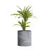 Кашпо CONCRETIKA CYLINDER CONCRETE GREY LIGHT D60H65 заказать и купить с доставкой из магазина производителя Конкретика по цене 37 260 руб.