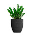 Кашпо CONCRETIKA VASE 3 EROSIA BLACK D60H65 заказать и купить с доставкой из магазина производителя Конкретика по цене 39 180 руб.