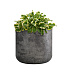 Кашпо CONCRETIKA TOPPER CONCRETE GREY DARK D40H40 заказать и купить с доставкой из магазина производителя Конкретика по цене 14 910 руб.