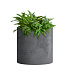 Кашпо CONCRETIKA CYLINDER SMOKEY BLUE D25H25 заказать и купить с доставкой из магазина производителя Конкретика по цене 6 650 руб.