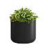 Кашпо CONCRETIKA TOPPER NERO D40H40 заказать и купить с доставкой из магазина производителя Конкретика по цене 12 420 руб.