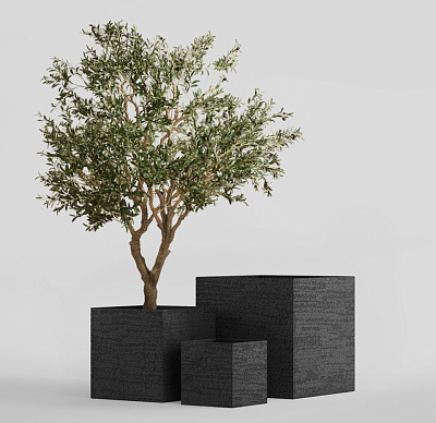 Кашпо CONCRETIKA CUBE EROSIA BLACK 90x90x90 заказать и купить Кашпо CONCRETIKA CUBE EROSIA BLACK 90x90x90 заказать и купить по цене 104 560 руб ниже рынка от производителя с доставкой.