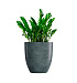 Кашпо CONCRETIKA VASE 3 OCEAN GREEN D60H65 заказать и купить с доставкой из магазина производителя Конкретика по цене 40 880 руб.