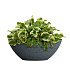 Кашпо CONCRETIKA BONSAY EROSIA GREY D50H19 заказать и купить с доставкой из магазина производителя Конкретика по цене 13 400 руб.