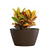 Кашпо CONCRETIKA BOWL EROSIA BROWN D80H45 заказать и купить с доставкой из магазина производителя Конкретика по цене 33 150 руб.