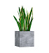 Кашпо CONCRETIKA CUBE CONCRETE GREY LIGHT 40x40x40 заказать и купить с доставкой из магазина производителя Конкретика по цене 17 460 руб.