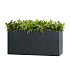 Кашпо CONCRETIKA DIVIDER ANTHRACITE 100x40x50 заказать и купить с доставкой из магазина производителя Конкретика по цене 47 900 руб.