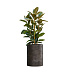Кашпо CONCRETIKA CYLINDER TAUPE CONCRETE D50H65 заказать и купить с доставкой из магазина производителя Конкретика по цене 33 260 руб.