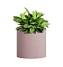 Кашпо CONCRETIKA CYLINDER COCOA D30H30 заказать и купить с доставкой из магазина производителя Конкретика по цене 8 870 руб.