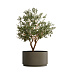 Кашпо CONCRETIKA CYLINDER XL OLIVE D70H45 заказать и купить с доставкой из магазина производителя Конкретика по цене 31 050 руб.