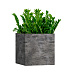 Кашпо CONCRETIKA CUBE CONCRETE GREY DARK 60x60x60 заказать и купить с доставкой из магазина производителя Конкретика по цене 38 750 руб.