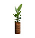 Кашпо CONCRETIKA CYLINDER CAYMAN BROWN D40H80 заказать и купить с доставкой из магазина производителя Конкретика по цене 26 400 руб.