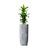 Кашпо CONCRETIKA YAR CONCRETE GREY LIGHT D46H110 заказать и купить с доставкой из магазина производителя Конкретика по цене 45 240 руб.