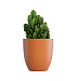 Кашпо CONCRETIKA VASE 3 CARROT D50H55 заказать и купить с доставкой из магазина производителя Конкретика по цене 19 960 руб.