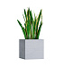 Кашпо CONCRETIKA CUBE EROSIA WHITE 40x40x40 заказать и купить с доставкой из магазина производителя Конкретика по цене 16 730 руб.